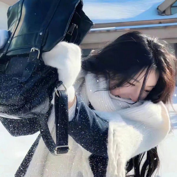 琅琊榜之风起长林