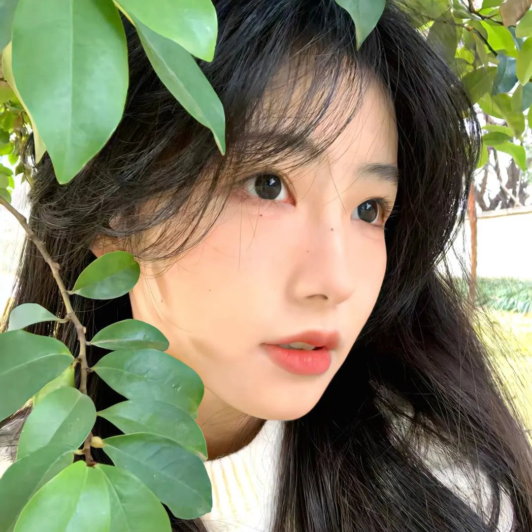 厄月惊魂曲